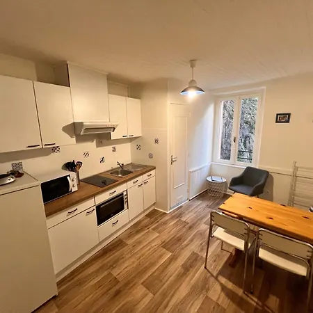 Appartement 4 Personnes, Wifi, Proche Centre Et Thermes La Bourboule Exterior foto